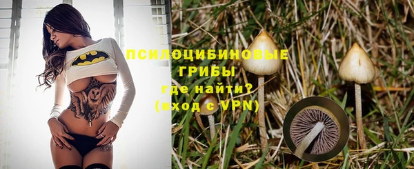 ешки Абаза