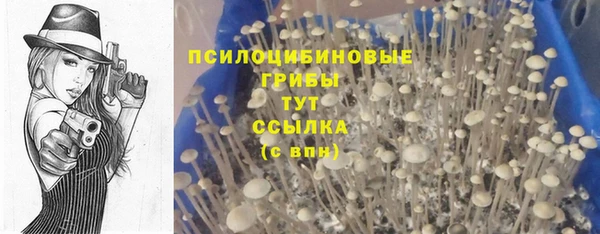 шишки Осинники