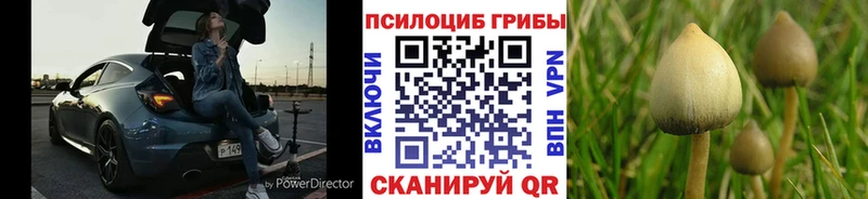 Галлюциногенные грибы Psilocybine cubensis  Янаул 