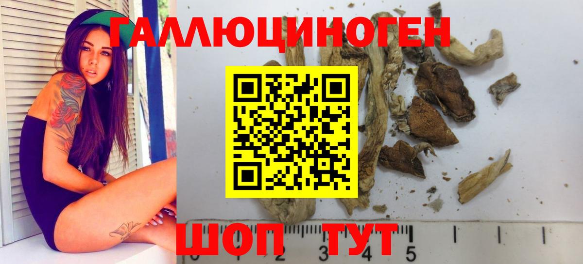 Псилоцибиновые грибы Cubensis Янаул